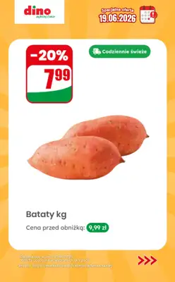 Dino - gazetka promocyjna Specjalna oferta na 19.06.2026 - promocje spoza gazetki od piątku 19.06 do piątku 19.06 - strona 6