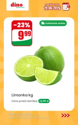Dino - gazetka promocyjna Specjalna oferta na 19.06.2026 - promocje spoza gazetki od piątku 19.06 do piątku 19.06 - strona 7