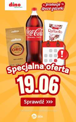 Dino - gazetka promocyjna Specjalna oferta na 19.06.2026 - promocje spoza gazetki od piątku 19.06 do piątku 19.06