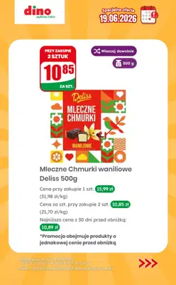 Dino - gazetka promocyjna Specjalna oferta na 19.06.2026 - promocje spoza gazetki od piątku 19.06 do piątku 19.06 - strona 8