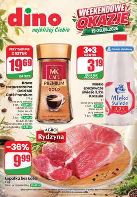Dino - gazetka promocyjna Katalog - Weekendowe Okazjeㅤ od piątku 19.06 do soboty 20.06
