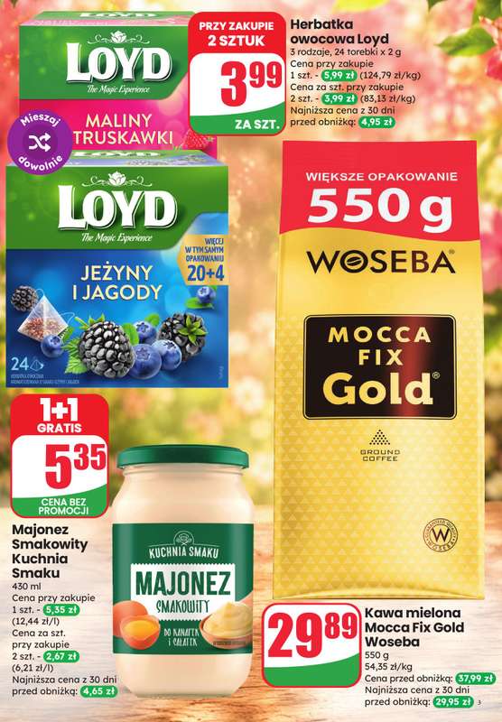Dino - gazetka promocyjna Katalog - Weekendowe Okazjeㅤ od piątku 19.06 do soboty 20.06 - strona 3
