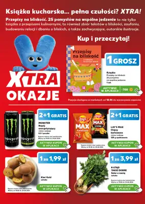 Kaufland - gazetka promocyjna Mocny Start od poniedziałku 22.06 do środy 24.06 - strona 10