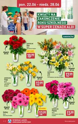 Aldi - gazetka promocyjna Pełny katalog! od poniedziałku 22.06 do niedzieli 28.06 - strona 6