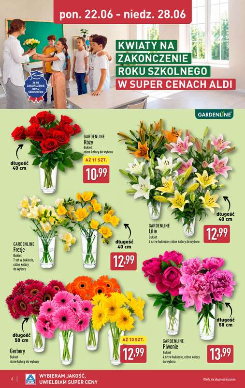 Aldi - gazetka promocyjna Pełny katalog! od poniedziałku 22.06 do niedzieli 28.06 - strona 6