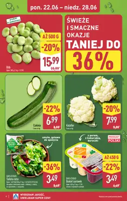 Aldi - gazetka promocyjna Pełny katalog! od poniedziałku 22.06 do niedzieli 28.06 - strona 4