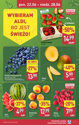 Aldi - gazetka promocyjna Pełny katalog! od poniedziałku 22.06 do niedzieli 28.06 - strona 3