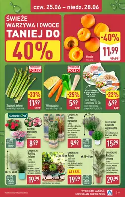 Aldi - gazetka promocyjna Pełny katalog! od poniedziałku 22.06 do niedzieli 28.06 - strona 37