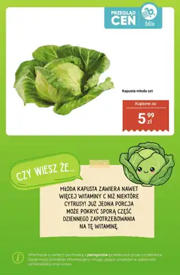 Dino - gazetka promocyjna Owoce i warzywa - przegląd cen i ciekawostki od poniedziałku 22.06 do niedzieli 28.06 - strona 9