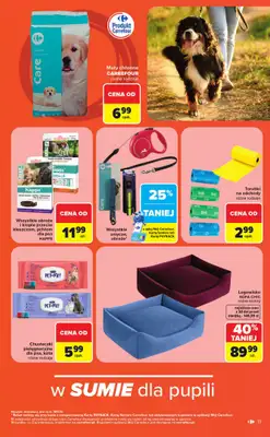 Carrefour - gazetka promocyjna Gazetka ZOOkątek od poniedziałku 22.06 do soboty 04.07 - strona 13