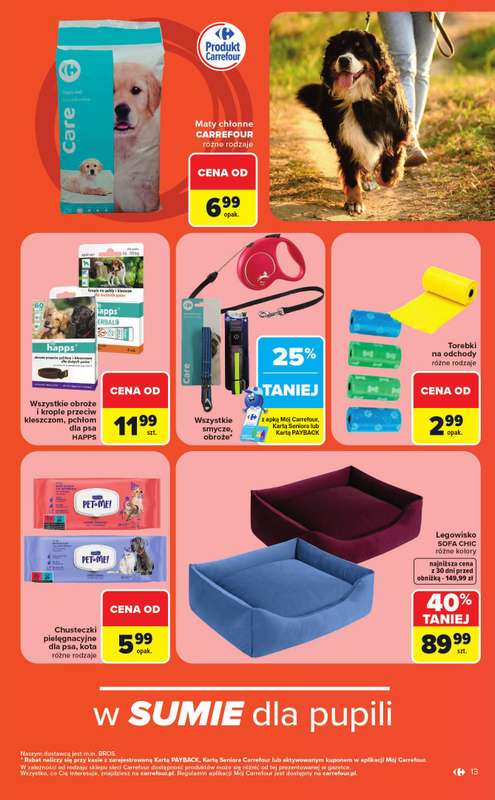 Carrefour Market - gazetka promocyjna Gazetka ZOOkątek  do soboty 04.07 - strona 13