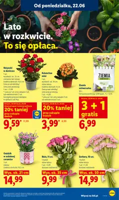 Lidl - gazetka promocyjna Oferta od poniedziałku od poniedziałku 22.06 do środy 24.06 - strona 87
