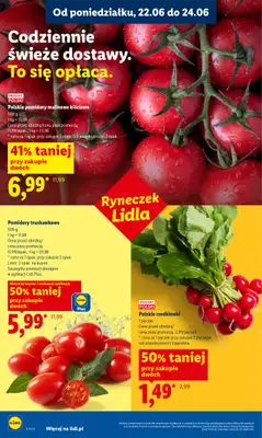 Lidl - gazetka promocyjna Oferta od poniedziałku od poniedziałku 22.06 do środy 24.06 - strona 38