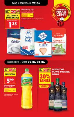 Biedronka - gazetka promocyjna Od poniedziałku od poniedziałku 22.06 do niedzieli 28.06 - strona 13