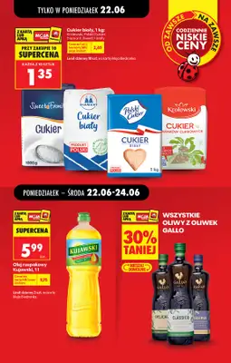 Biedronka - gazetka promocyjna Od poniedziałku od poniedziałku 22.06 do niedzieli 28.06 - strona 13