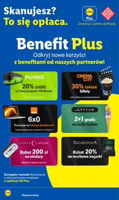 Lidl - gazetka promocyjna Katalog od poniedziałku 29.06 do soboty 04.07 - strona 51