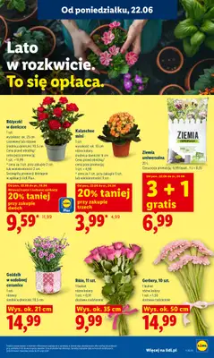 Lidl - gazetka promocyjna Oferta od poniedziałku od poniedziałku 22.06 do środy 24.06 - strona 87