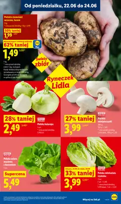 Lidl - gazetka promocyjna Oferta od poniedziałku od poniedziałku 22.06 do środy 24.06 - strona 37