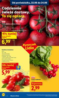 Lidl - gazetka promocyjna Oferta od poniedziałku od poniedziałku 22.06 do środy 24.06 - strona 38