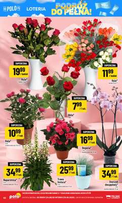 POLOmarket - gazetka promocyjna Gazetka od środy 24.06 do wtorku 30.06 - strona 62