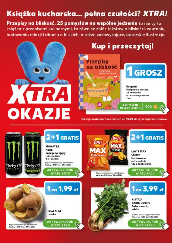 Kaufland - gazetka promocyjna Mocny Start od poniedziałku 22.06 do środy 24.06 - strona 10