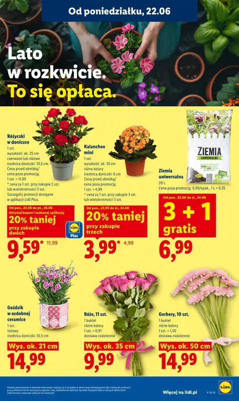 Lidl - gazetka promocyjna Oferta od poniedziałku od poniedziałku 22.06 do środy 24.06 - strona 87