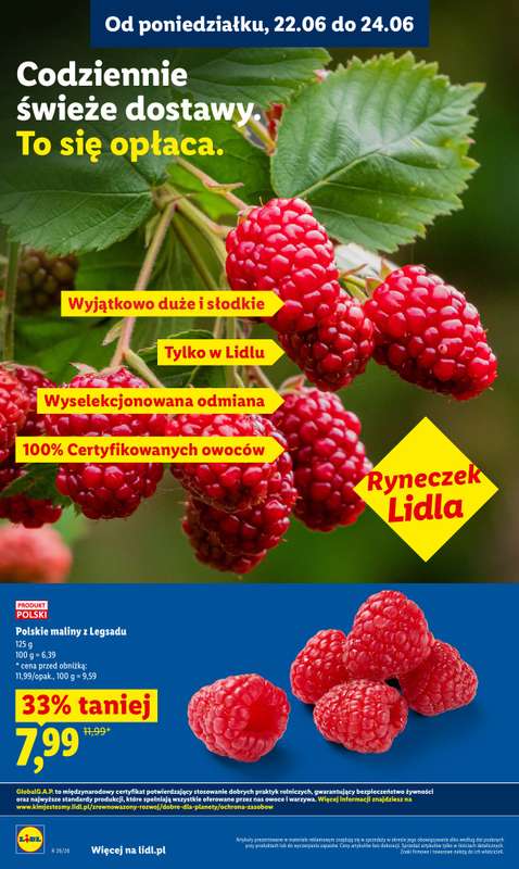 Lidl - gazetka promocyjna Oferta od poniedziałku od poniedziałku 22.06 do środy 24.06 - strona 36