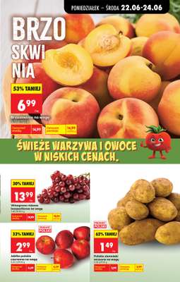 Biedronka - gazetka promocyjna Od poniedziałku od poniedziałku 22.06 do niedzieli 28.06 - strona 35