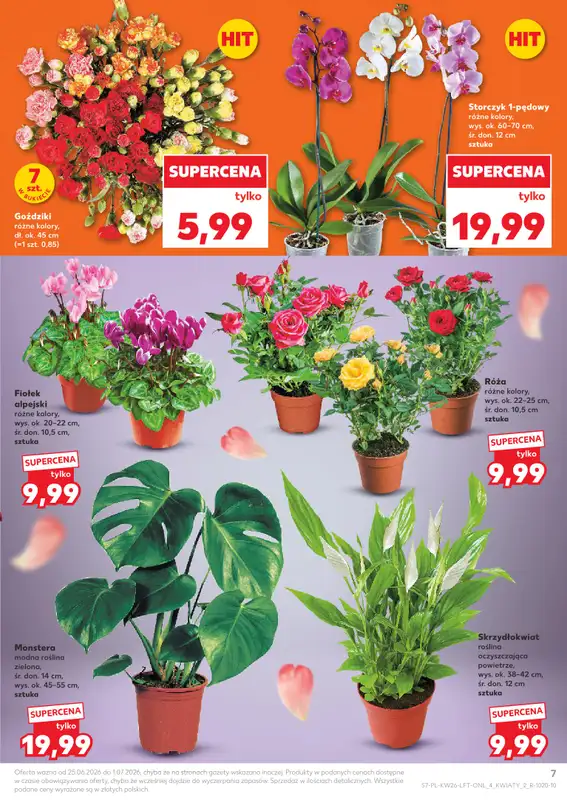 Kaufland - gazetka promocyjna Gazetka Tygodnia od czwartku 25.06 do środy 01.07 - strona 7