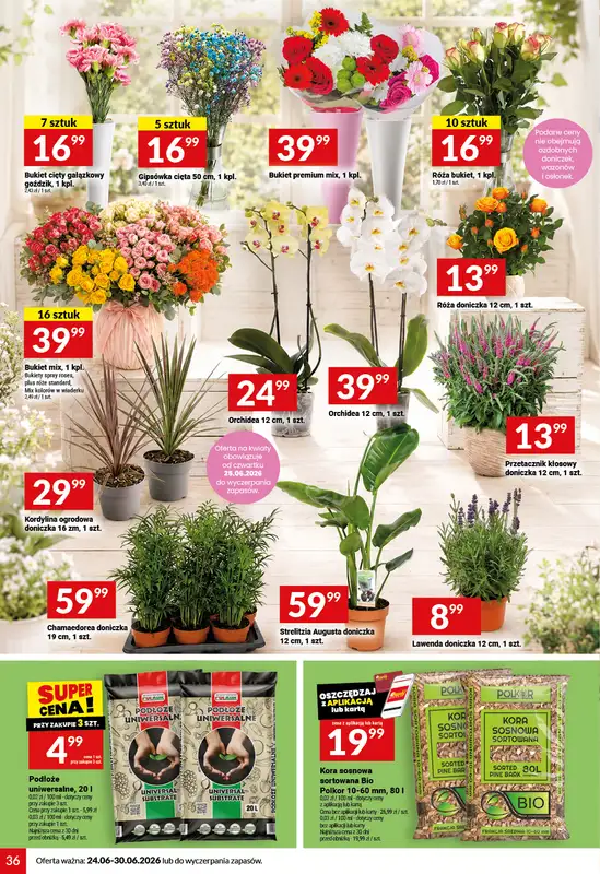 Twój Market - gazetka promocyjna Gazetka od środy 24.06 do wtorku 30.06 - strona 36