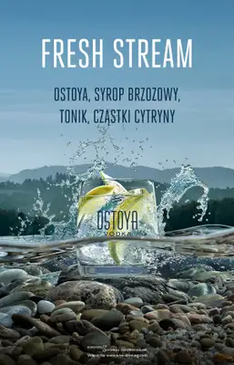 Żabka - gazetka promocyjna Odkryj Bieszczady w swoim mieście i wygraj nagrody! od wtorku 23.06 do czwartku 25.06 - strona 5