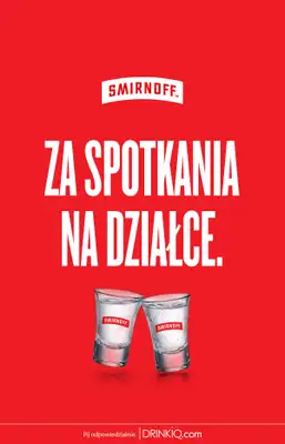 Biedronka - gazetka promocyjna Smirnoff - Toasty na Rozpoczęcie Lata od wtorku 23.06 do piątku 26.06 - strona 4
