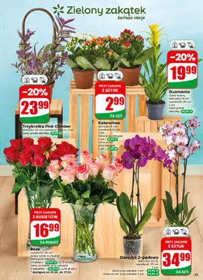Dino - gazetka promocyjna Gazetka 26 / 2026 od środy 24.06 do wtorku 30.06 - strona 61