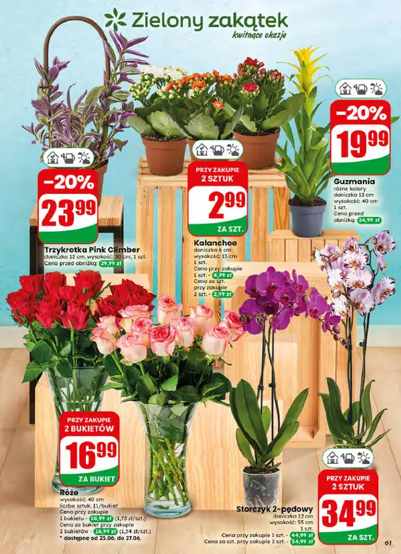 Dino - gazetka promocyjna Gazetka 26 / 2026 od środy 24.06 do wtorku 30.06 - strona 61