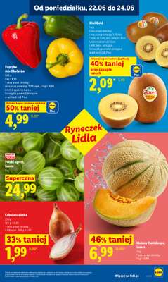 Lidl - gazetka promocyjna Oferta od poniedziałku od poniedziałku 22.06 do środy 24.06 - strona 39