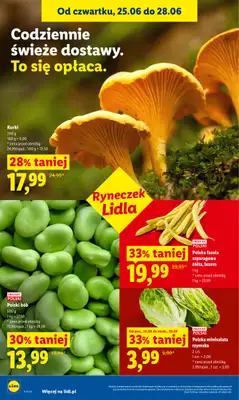 Lidl - gazetka promocyjna Oferta od czwartku od czwartku 25.06 do niedzieli 28.06 - strona 36