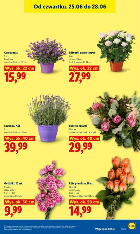Lidl - gazetka promocyjna Oferta od czwartku od czwartku 25.06 do niedzieli 28.06 - strona 41