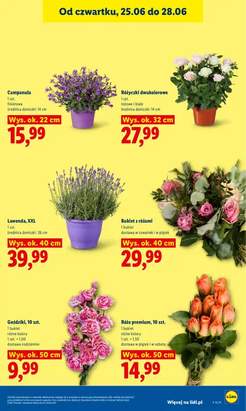 Lidl - gazetka promocyjna Oferta od czwartku od czwartku 25.06 do niedzieli 28.06 - strona 41