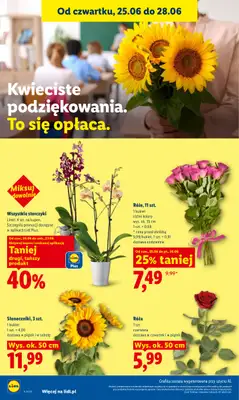 Lidl - gazetka promocyjna Oferta od czwartku od czwartku 25.06 do niedzieli 28.06 - strona 40