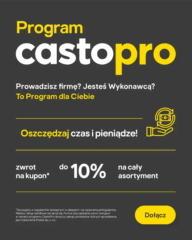Castorama - gazetka promocyjna Remont i budowa od środy 24.06 do wtorku 07.07 - strona 13