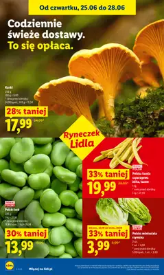 Lidl - gazetka promocyjna Oferta od czwartku od czwartku 25.06 do niedzieli 28.06 - strona 36