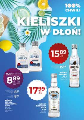 Duży Ben - gazetka promocyjna Gazetka alkoholowa od czwartku 25.06 do środy 08.07 - strona 28
