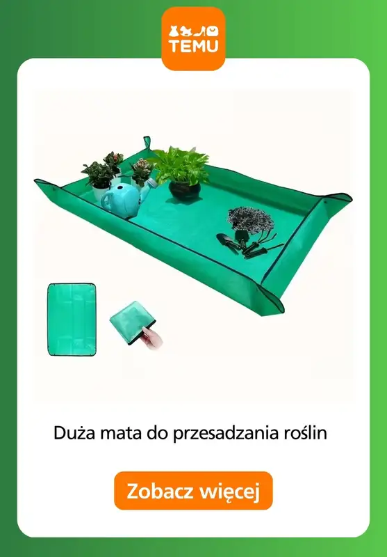 Temu - gazetka promocyjna Majsterkowanie w ogrodzie od czwartku 25.06  - strona 5