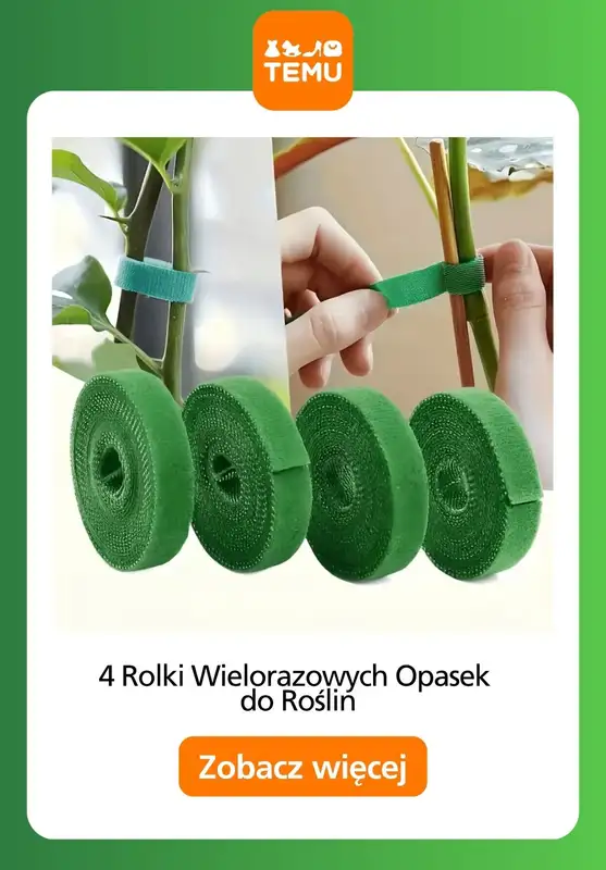 Temu - gazetka promocyjna Majsterkowanie w ogrodzie od czwartku 25.06  - strona 4