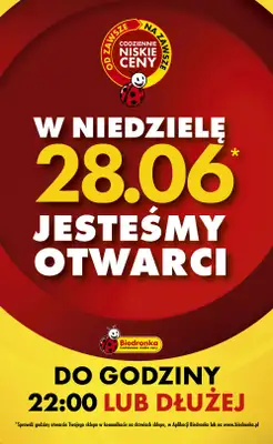 Biedronka - gazetka promocyjna Od poniedziałku od poniedziałku 22.06 do niedzieli 28.06 - strona 8