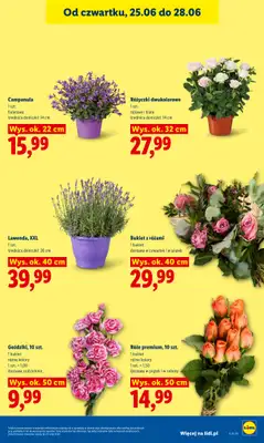 Lidl - gazetka promocyjna Oferta od czwartku od czwartku 25.06 do niedzieli 28.06 - strona 41
