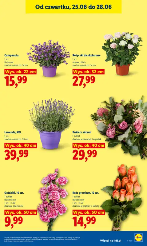 Lidl - gazetka promocyjna Oferta od czwartku od czwartku 25.06 do niedzieli 28.06 - strona 41