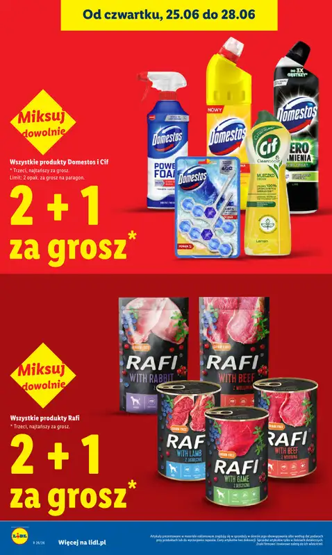 Lidl - gazetka promocyjna Oferta od czwartku od czwartku 25.06 do niedzieli 28.06 - strona 22