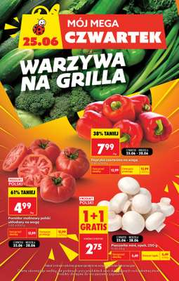 Biedronka - gazetka promocyjna Mój mega czwartek od czwartku 25.06 do niedzieli 28.06