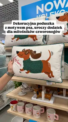 Pepco - gazetka promocyjna Zakupowe Inspiracje w Pepco od czwartku 25.06 do niedzieli 28.06 - strona 11